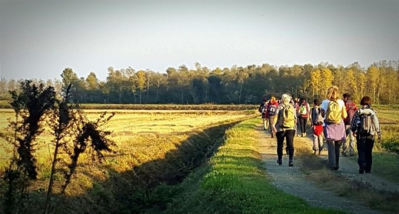 foto: Camminando sulla Via Francigena