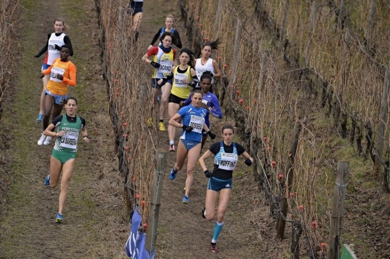 (foto: Organizzatori)