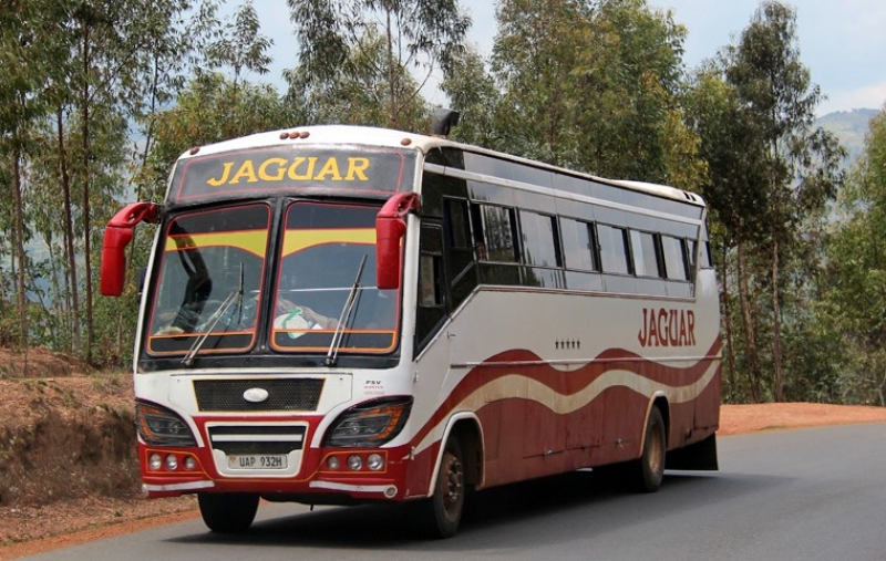 Mancano i soldi, 700 km in bus per partecipare ai mondiali